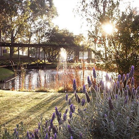 Hunter Valley Resort, Hunter Farm Adventure Centre & 4 Pines At The Farm Pokolbin Exterior foto