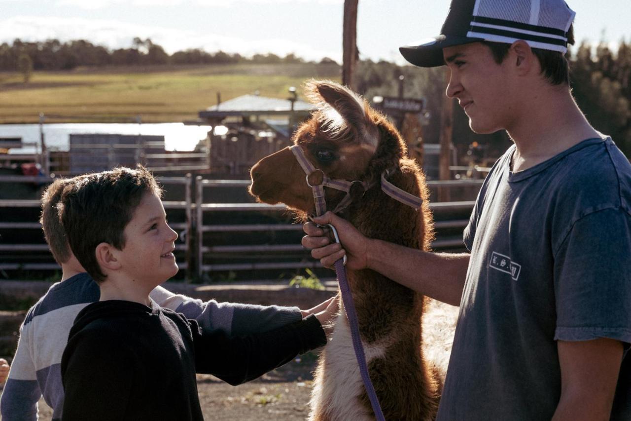 Hunter Valley Resort, Hunter Farm Adventure Centre & 4 Pines At The Farm Pokolbin Exterior foto