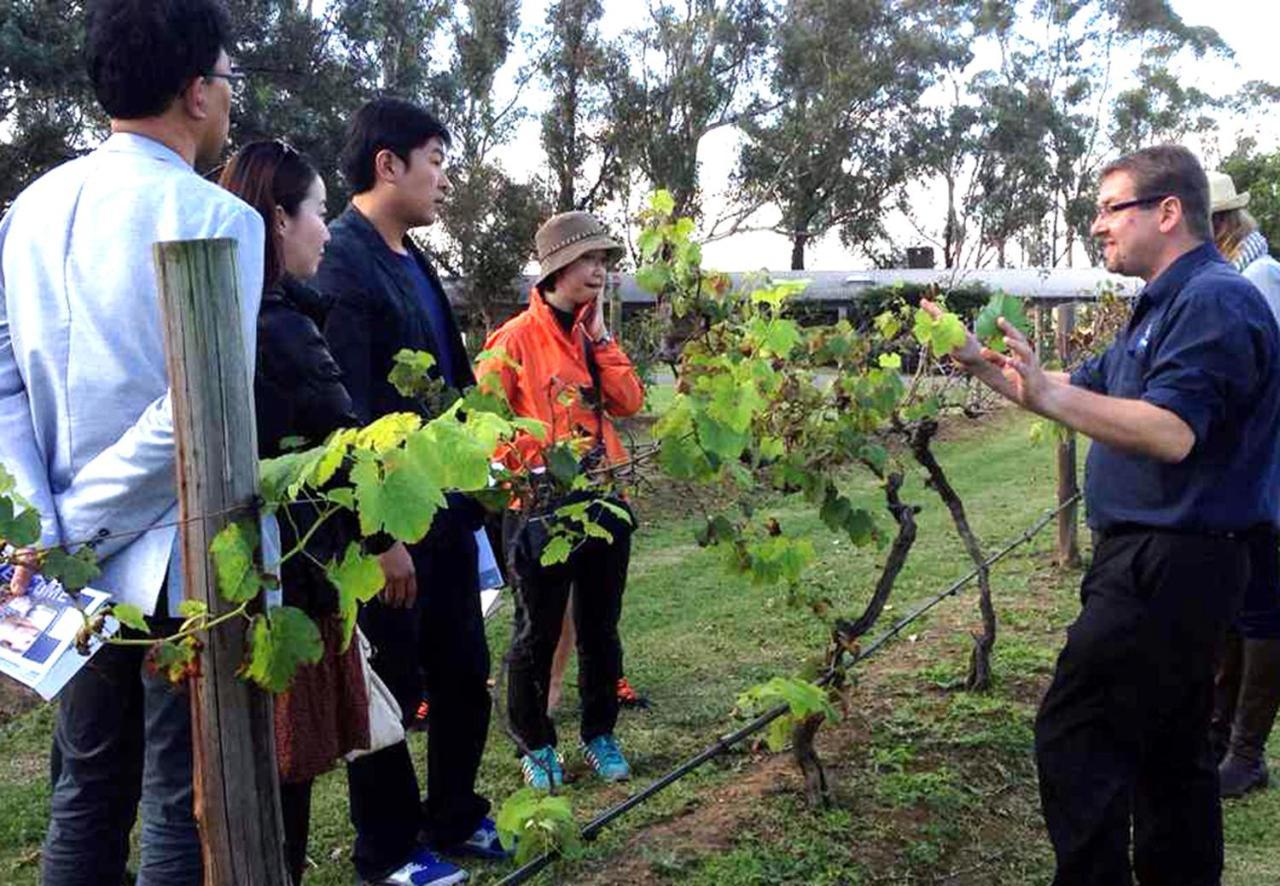 Hunter Valley Resort, Hunter Farm Adventure Centre & 4 Pines At The Farm Pokolbin Exterior foto